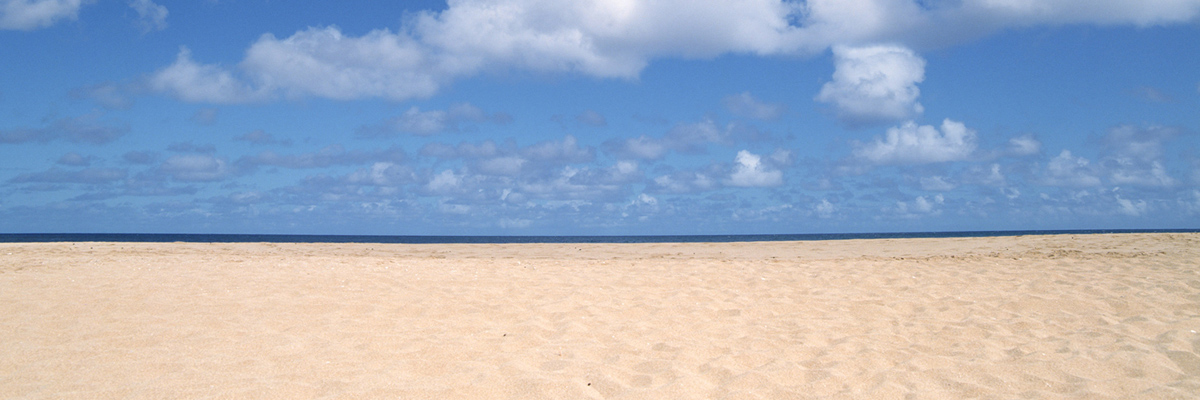 福住駅でおすすめの内視鏡クリニック5院比較｜口コミ評判で人気