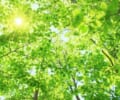 内視鏡検査の不安解消｜痛みや不快感を軽減する最新対策とQ&A